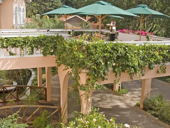 House of Waine -Garden 